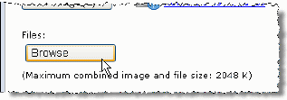 Fms_BrowseButton.gif